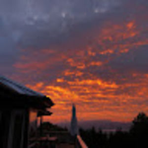 Meet your Posher, Mateo